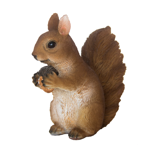 Zittende eekhoorn S