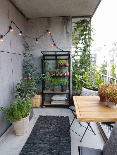 City Garden zwart - Royal Well