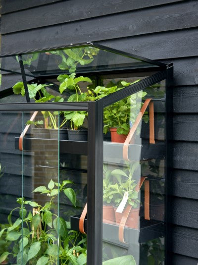 City Garden zwart - Royal Well