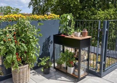 Vertical Garden zwart - Royal Well