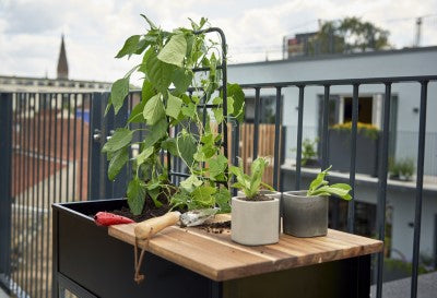 Vertical Garden zwart - Royal Well