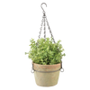 Aged Terracotta pot hangend L