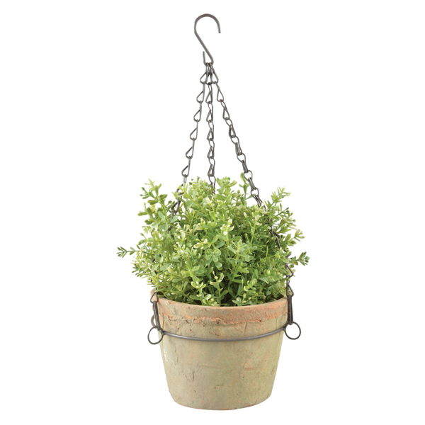 Aged Terracotta pot hangend L