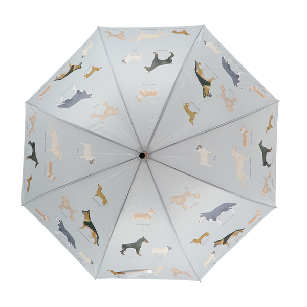 Paraplu hondenrassen