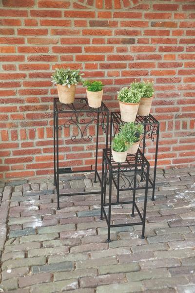Planttafels set van 3