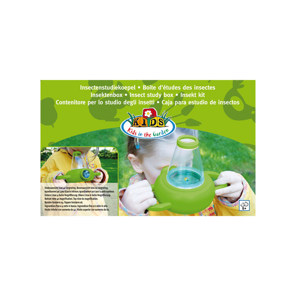 Insecten studeer doos