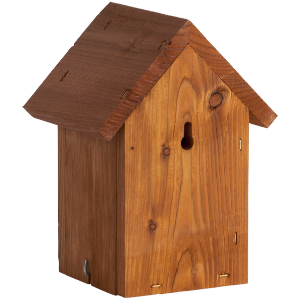 Nestkast Winterkoning Douglas Hout