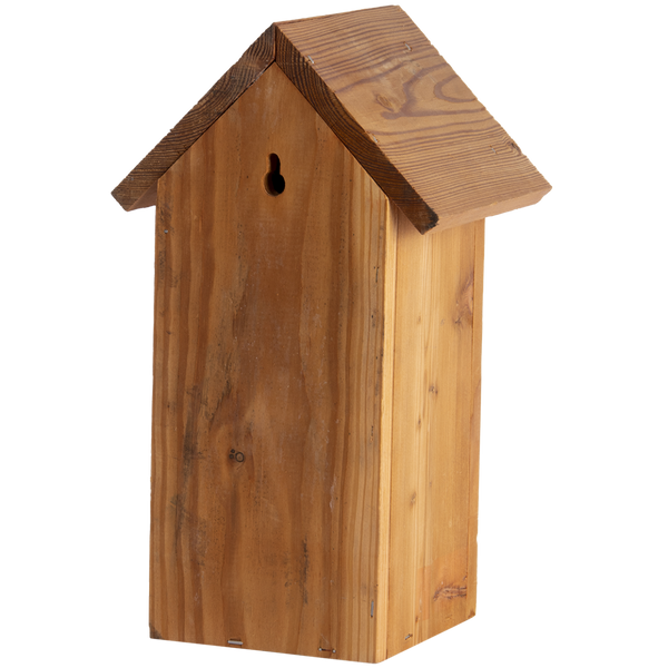 Nestkast Koolmees Douglas Hout