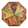 Paraplu herfstprint