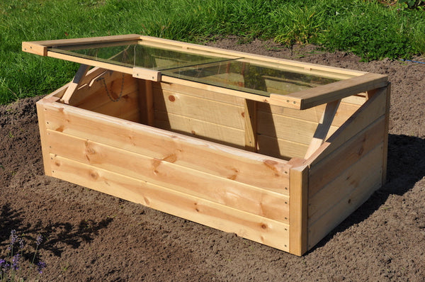 Roy Well - Strawberry Queen