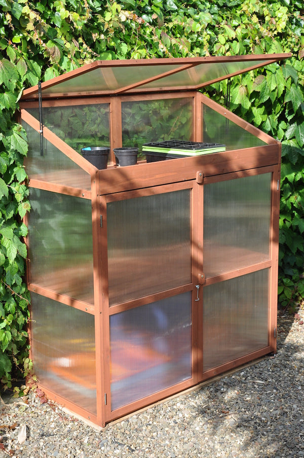 Roy Well - Sweet Basil