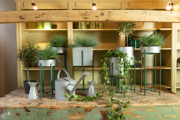 Schaal op standaard rond set/2