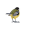 Koolmees