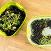 Worm Composter Ivoor