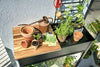 Vertical Garden zwart - Royal Well