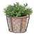 pot in draadmand