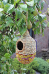 Vogelhuisje Shesali