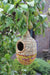 Vogelhuisje Shesali