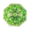 Paraplu boomkroon
