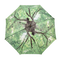 Paraplu boomkroon