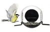 Born in Sweden BirdFeeder Kit