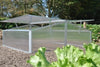 Silver Thyme - Royal Well