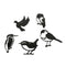 Metal Silhouettes Mini Vogelset