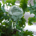 Bewateringsbol glas globe