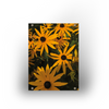 Tuinposter - Goldsturn 2 - 100x70cm