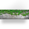 Balkondoek - Klimop muur - 300x90cm - enkelzijdig